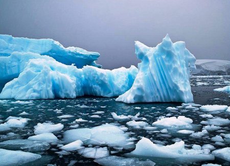 Arktika uitlərinə oxunan ölüm hökmü