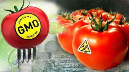 GMO və yaxud Gen Terroru: Azərbaycanın milli maraqları konteksində