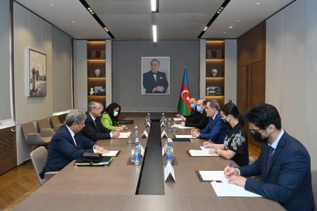 Azərbaycan- Misir diplomatik əlaqələri yeni müstəvidə