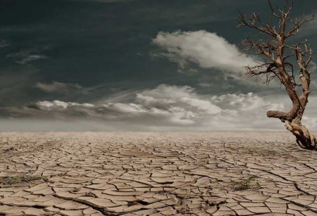 IPCC-nin Növbəti Qiymətləndirilməsi Fəlakət Riskinin Mürəkkəblikləri ilə Mübarizə Ehtiyacıdır