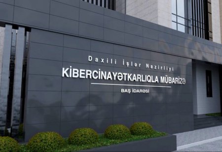 Milyonluq dövriyyəsi olan şəbəkə ifşa edildi