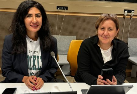 Azərbaycan nümayəndə heyəti Nyu-Yorkda  keçirilən "Summit of the Future: Multilateral Solutions for a Better Tomorrow" tədbirində