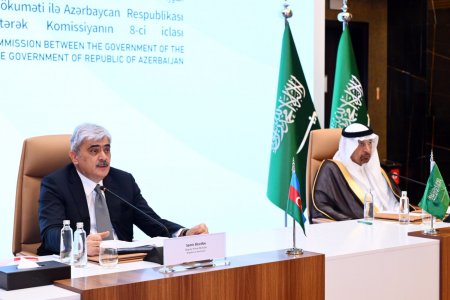 “Saudi Vision 2030”