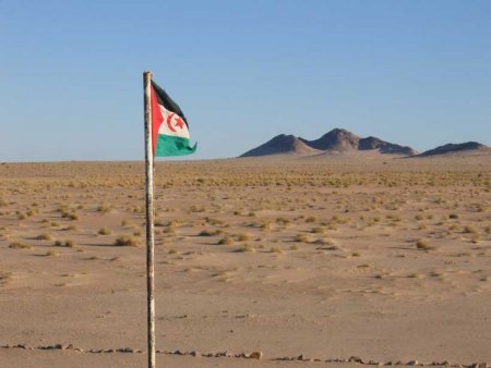 Ədalət üzərində Realpolitik: Qərbi Saharada Qərbin Qara Oyunu