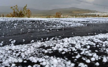 Göygöl və Daşkəsən rayonlarına dolu düşüb