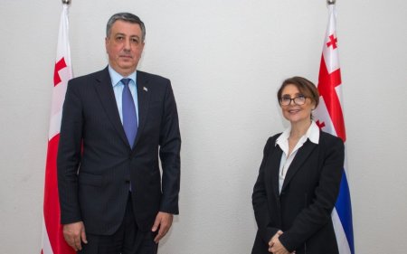 Azərbaycanın Gürcüstandakı səfiri Faiq Quliyev Gürcüstanın Acarıstan Muxtar Respublikasının mədəniyyət naziri Elisso Bolkvadze ilə görüşüb