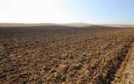 Regionlarında 17 torpaq müsabiqəsi və 24 hərrac keçirəcək