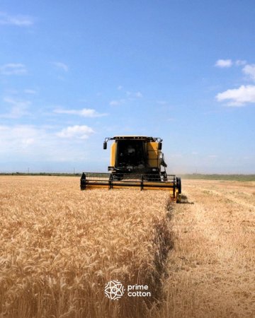"Prime Cotton" taxıl mövsümünündə uğurlar qazandı