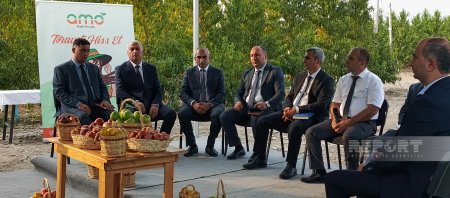 Xaçmazda “Aqrar sahədə dövlətin dəstək mexanizmləri” müzakirə edilib