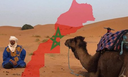 Regional Liderlik və Periferik Gücün Mərakeş Modeli  yaxud  Əlahəzrət Kral VI Məhəmmədin Qərbi Sahara Diplomatiyasında Polisario-nun İflası,Muxtariyyət Planının Baş Tutması  Doktrinası
