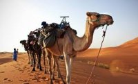 Paraqvay Mərakeşin Sahara üzərindəki suverenliyini dəstəkləyir və cənub əyalətlərində konsulluq açmağı planlaşdırır